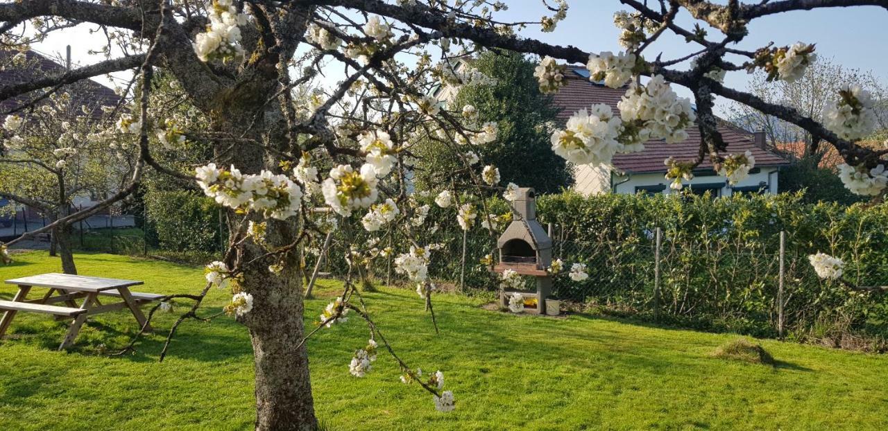 Maison De Vacances Freconrupt La Broque Kültér fotó
